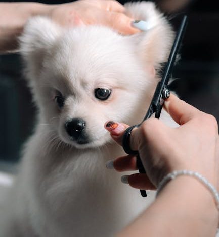 Mon expérience avec les connexions basées sur le chat en 2026