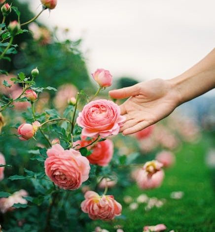 Rencontres vidéo pour les personnes qui aiment discuter