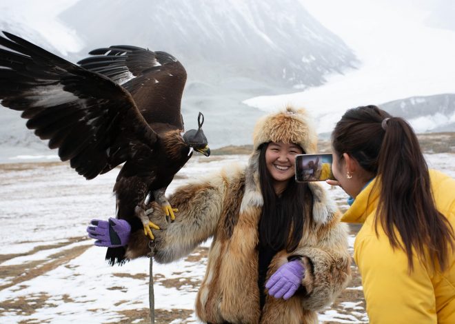 Rencontres vidéo anonymes pour les introvertis