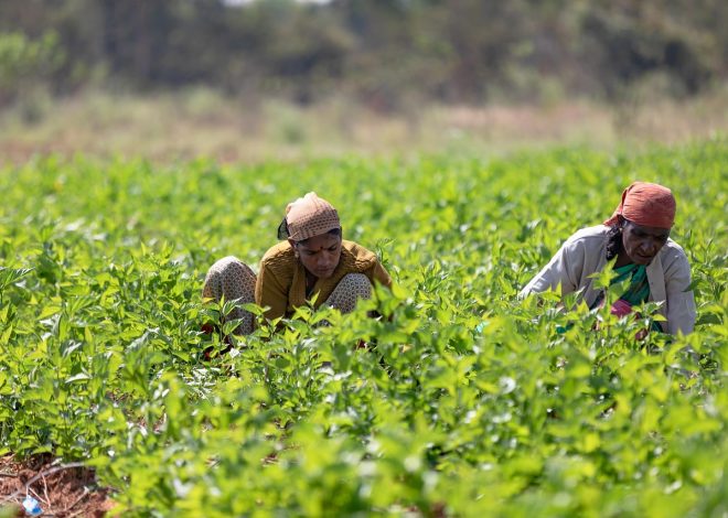 Rencontres inattendues et amitiés surprenantes