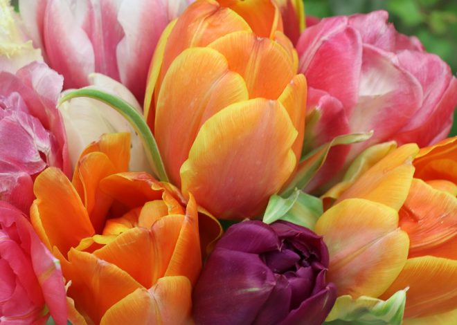 Passer des rencontres en ligne aux rencontres réelles avec succès